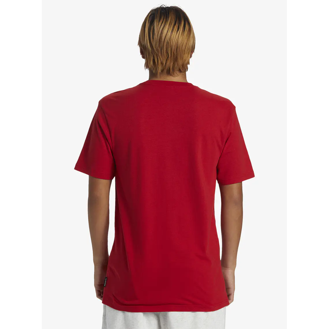 T-Shirt Quiksilver Mens Qs Petroglyph Logo Dna 2