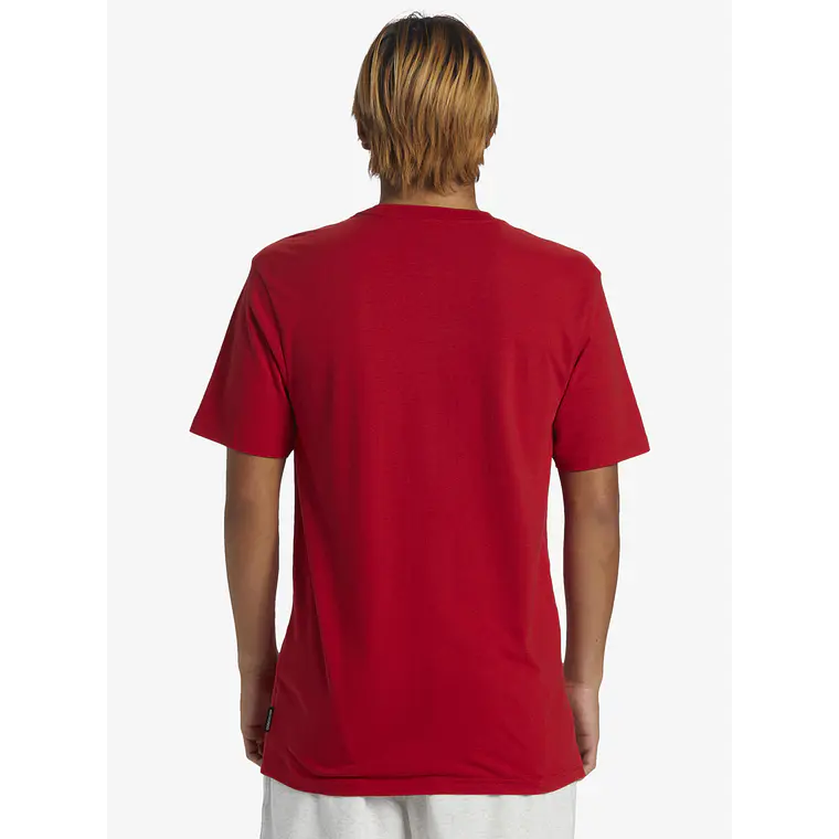 T-Shirt Quiksilver Mens Qs Petroglyph Logo Dna 2