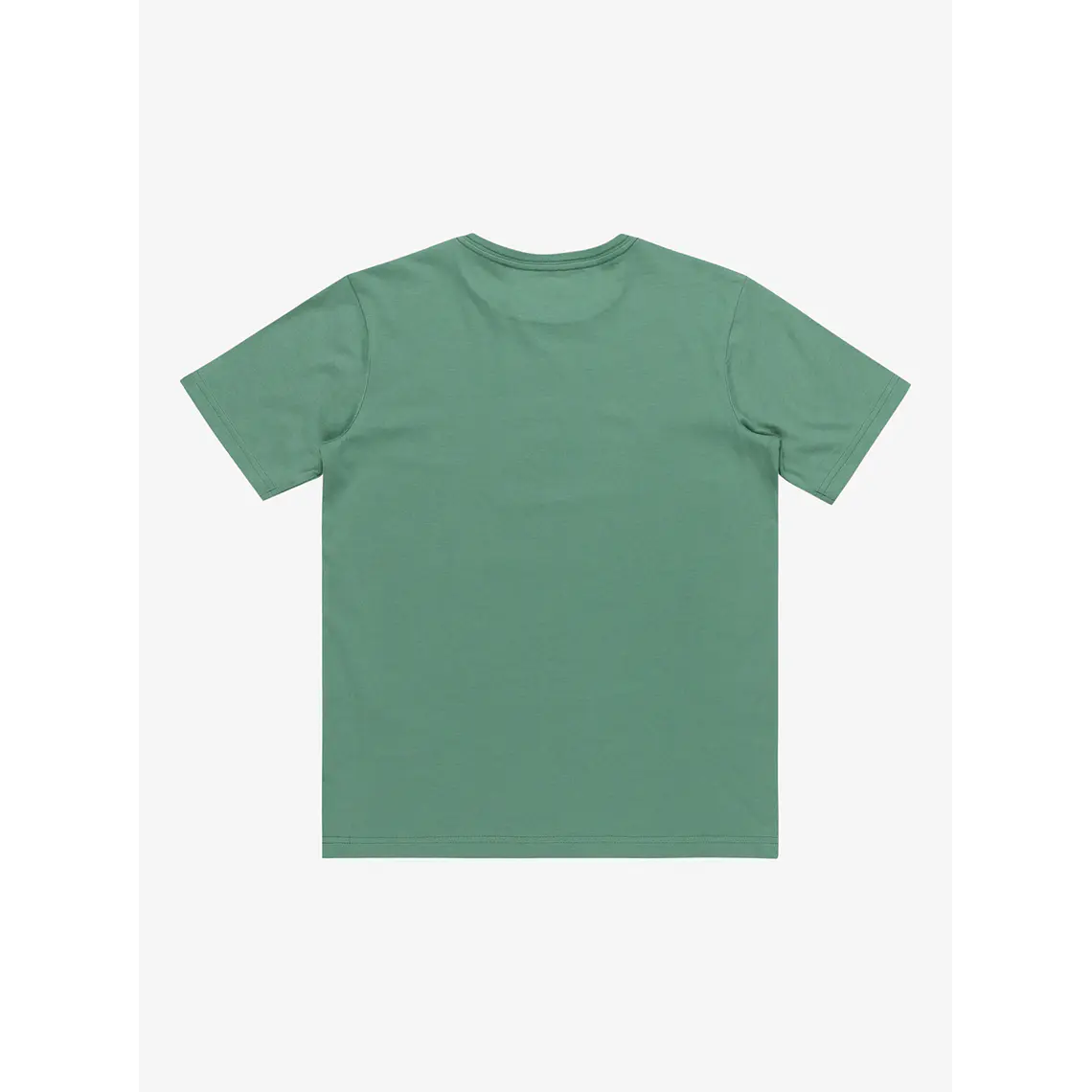 T-Shirt Quiksilver Kids Neverending Surf Ss Youth 2