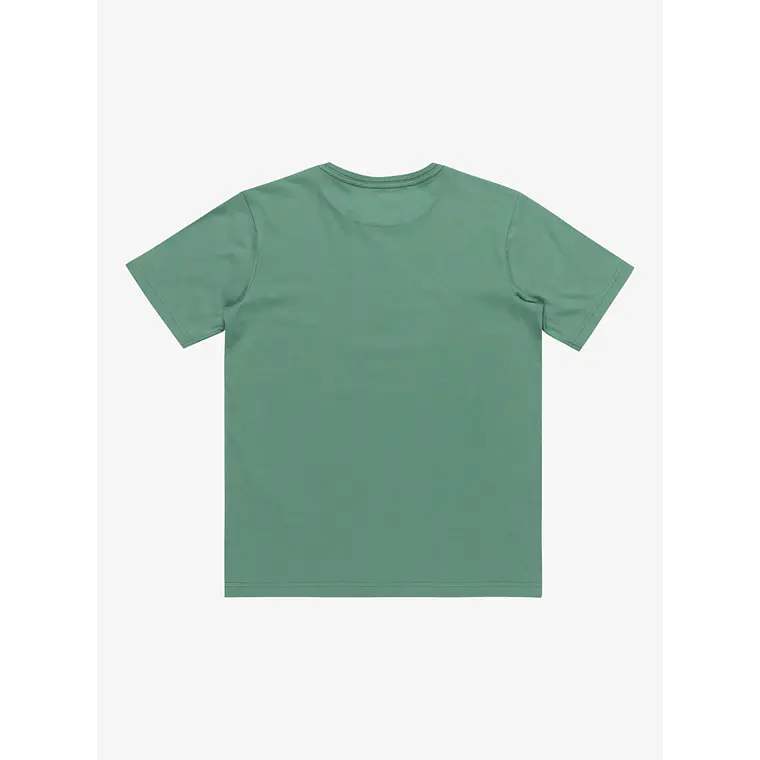 T-Shirt Quiksilver Kids Neverending Surf Ss Youth 2