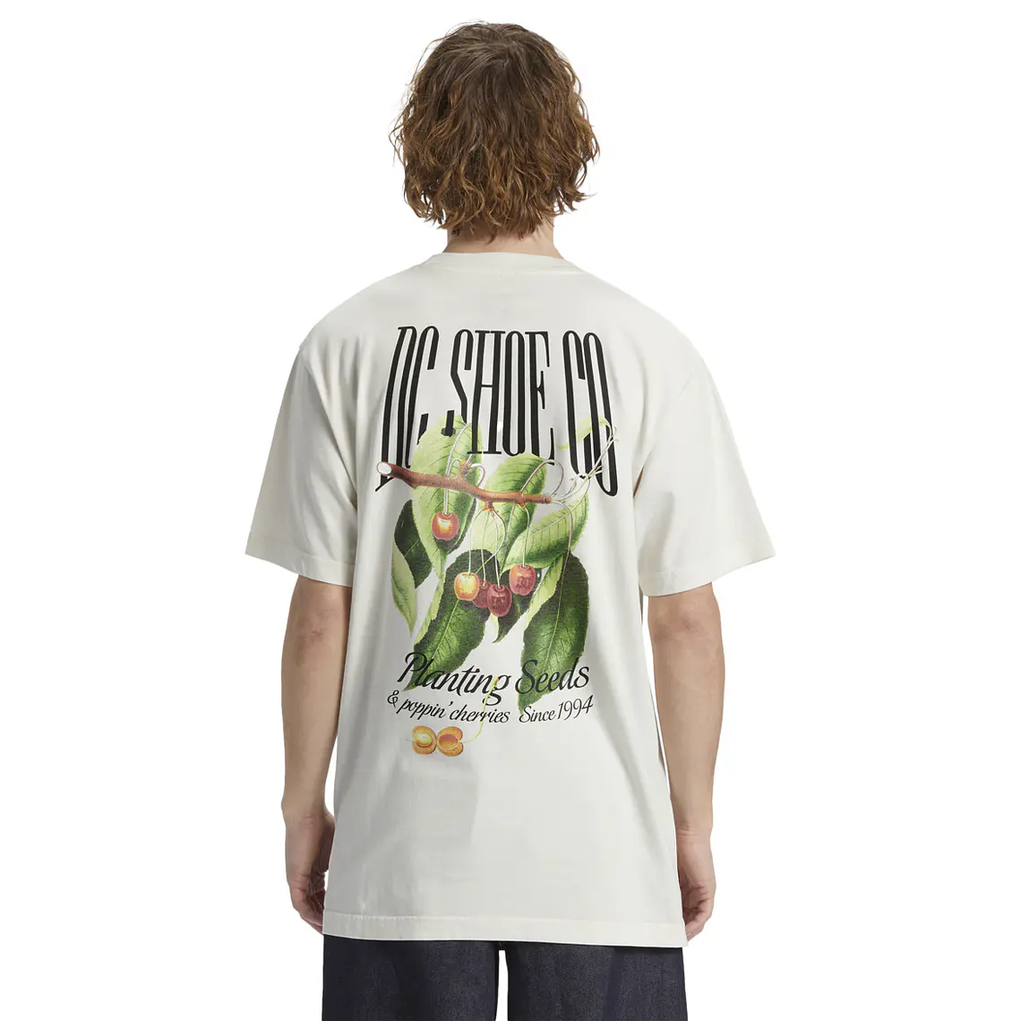 T-Shirt DC Mens Seed Planter Hss 2