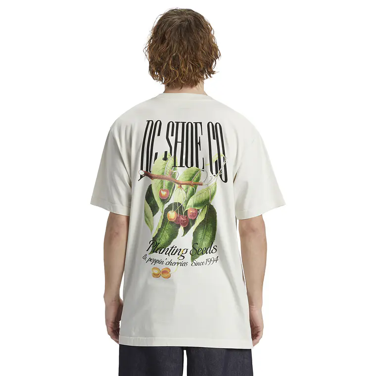 T-Shirt DC Mens Seed Planter Hss 2