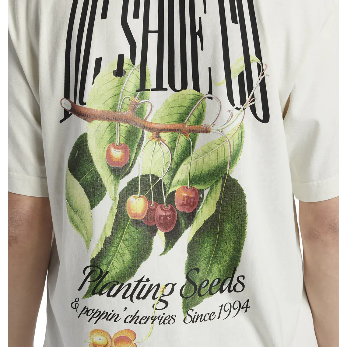 T-Shirt DC Mens Seed Planter Hss 4