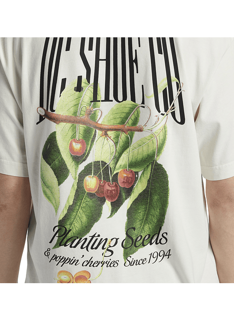 T-Shirt DC Mens Seed Planter Hss