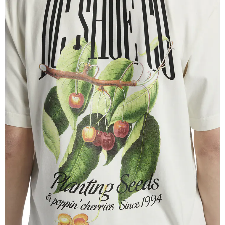 T-Shirt DC Mens Seed Planter Hss 4