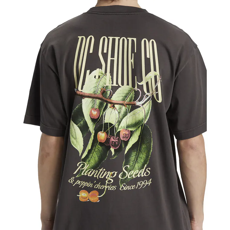 T-Shirt DC Mens Seed Planter Hss 4