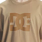 T-Shirt DC Mens Dc Star Pigment Dye Hss - thumbnail 3
