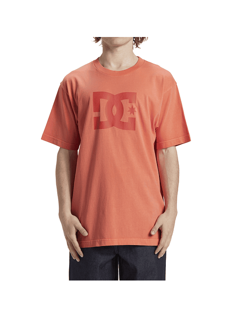 T-Shirt DC Mens Dc Star Pigment Dye Hss