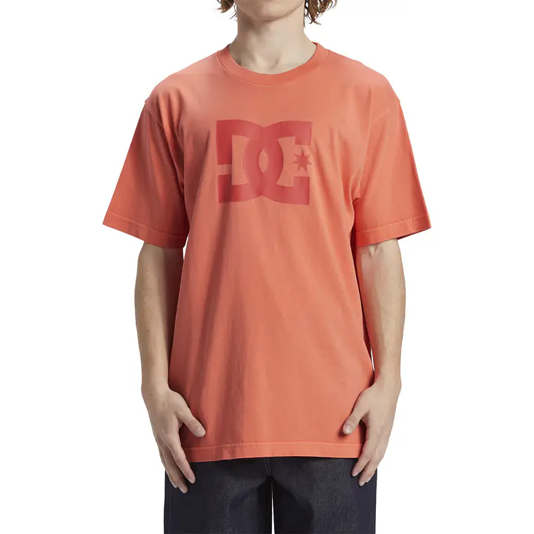 T-Shirt DC Mens Dc Star Pigment Dye Hss 1