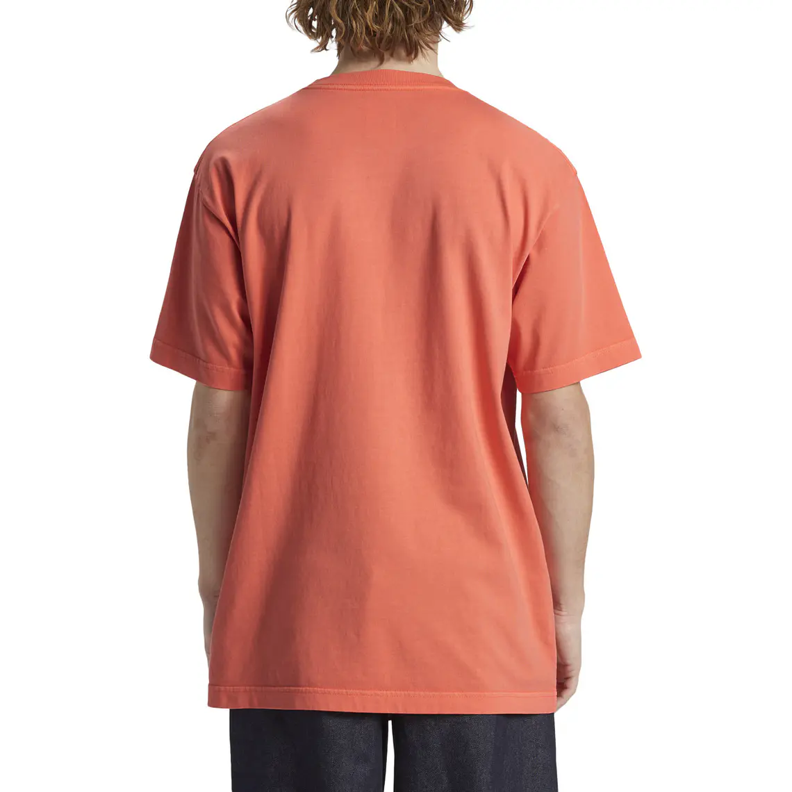 T-Shirt DC Mens Dc Star Pigment Dye Hss 2