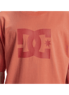 T-Shirt DC Mens Dc Star Pigment Dye Hss