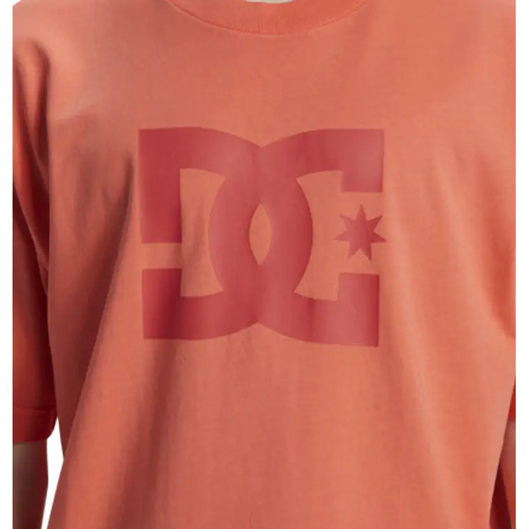 T-Shirt DC Mens Dc Star Pigment Dye Hss 3