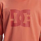 T-Shirt DC Mens Dc Star Pigment Dye Hss - thumbnail 3