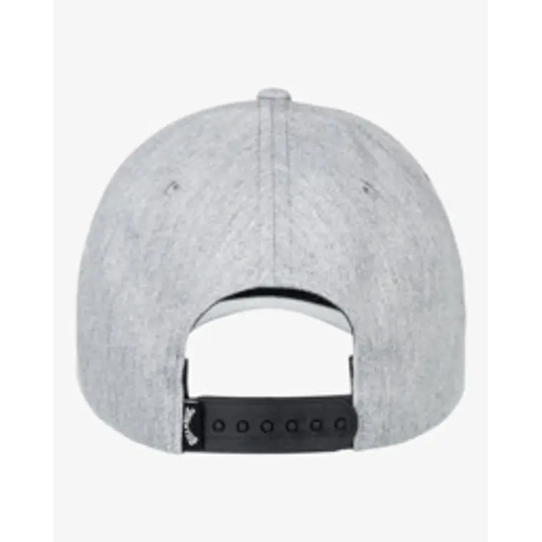 Bone Billabong Arch Snapback 2