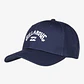 Bone Billabong Arch Snapback - Thumbnail 1