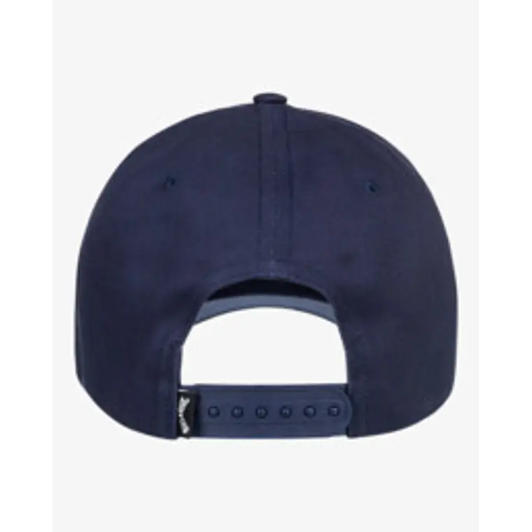 Bone Billabong Arch Snapback 2