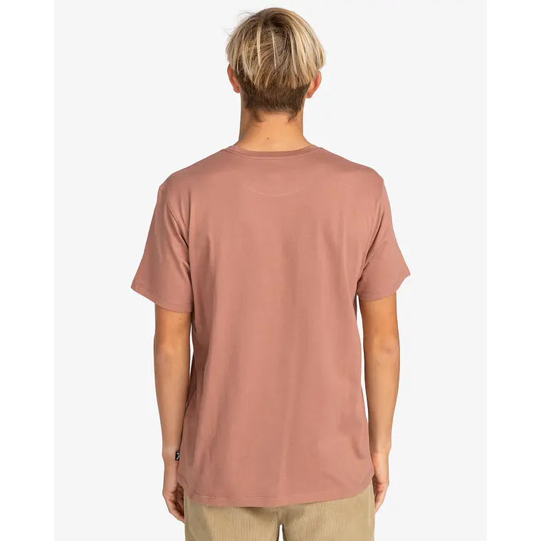 T-Shirt Billabong Arch Crew 2