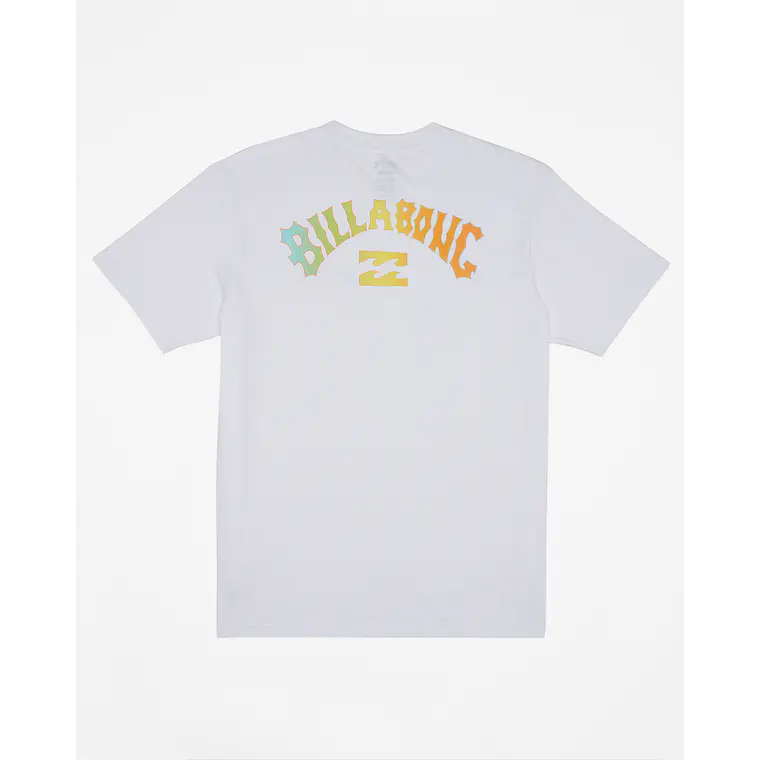 T-Shirt Billabong Arch Fill Boys 1