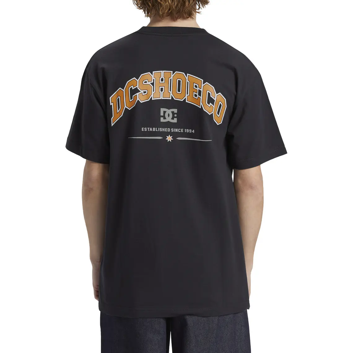 T-Shirt DC Mens Orientation Hss 1