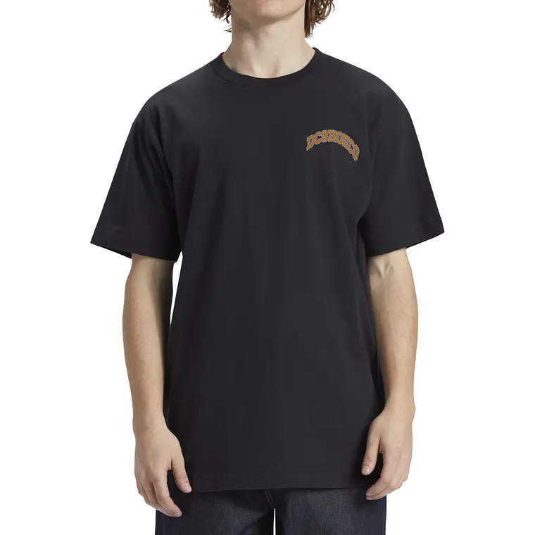 T-Shirt DC Mens Orientation Hss 2