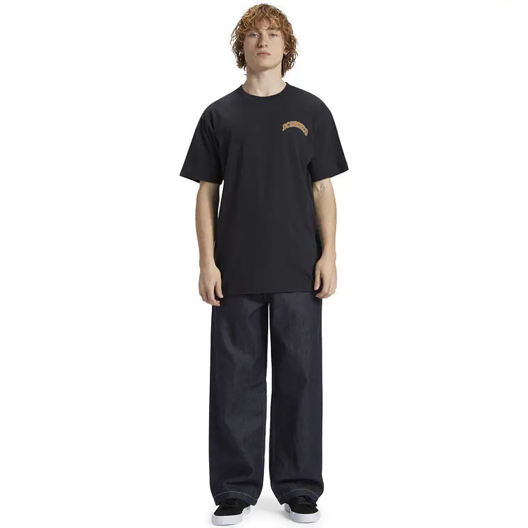 T-Shirt DC Mens Orientation Hss 3