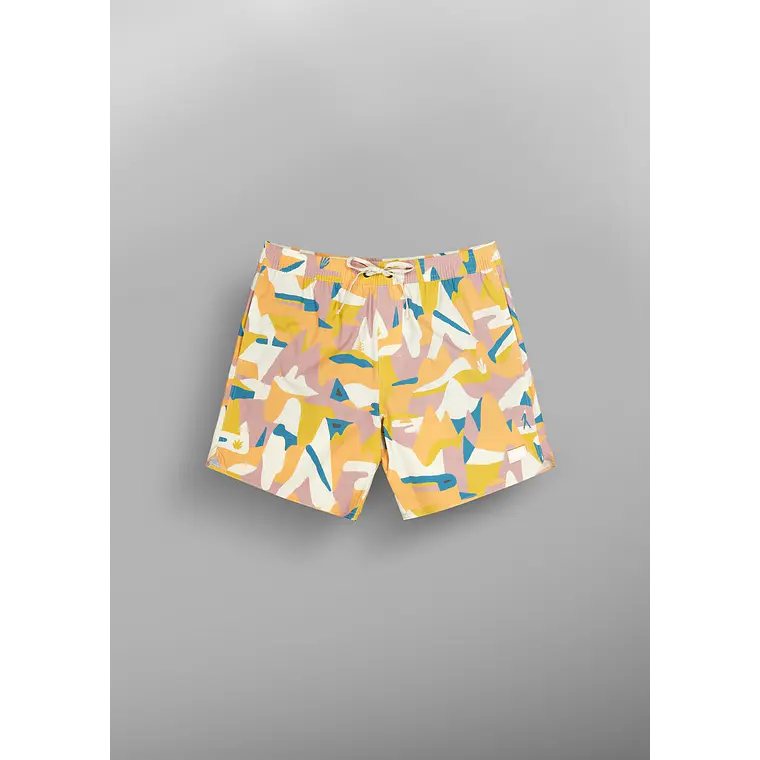 Boardshorts Picture Mens Piau 15 Brds 3