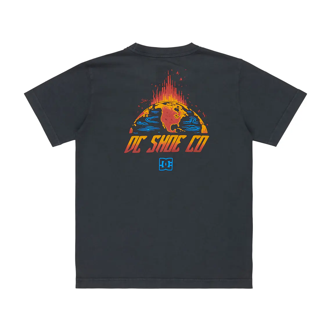 T-Shirt DC Kids Free Fall Ss Boy 1