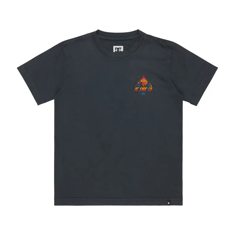 T-Shirt DC Kids Free Fall Ss Boy 2