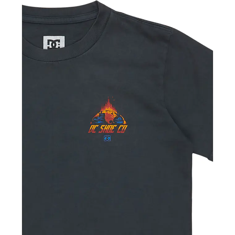 T-Shirt DC Kids Free Fall Ss Boy 3