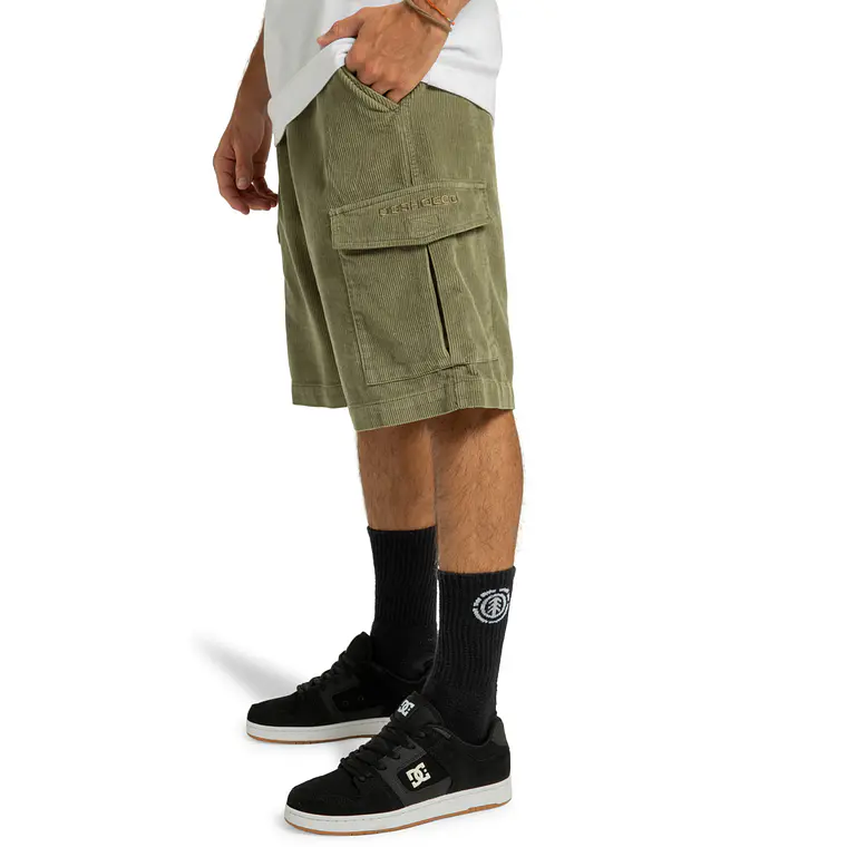 WalkShorts DC Mens Pipeline Cargo Short 2