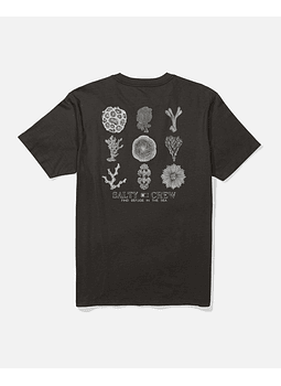 T-Shirt Salty Crew Coral Head Ss Tee