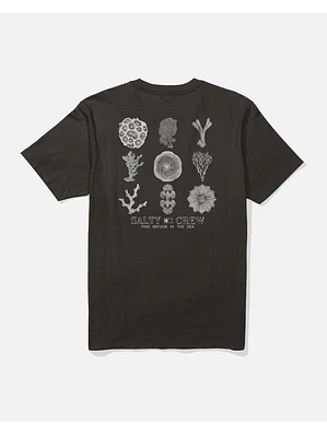 T-Shirt Salty Crew Coral Head Ss Tee