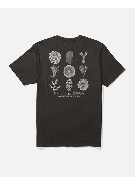 T-Shirt Salty Crew Coral Head Ss Tee