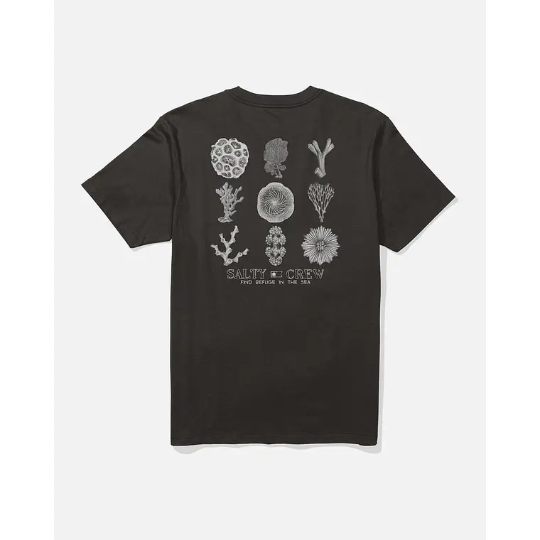 T-Shirt Salty Crew Coral Head Ss Tee 1