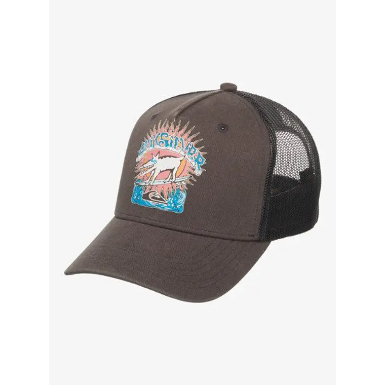 Boné Quiksilver Decades Cotton 1