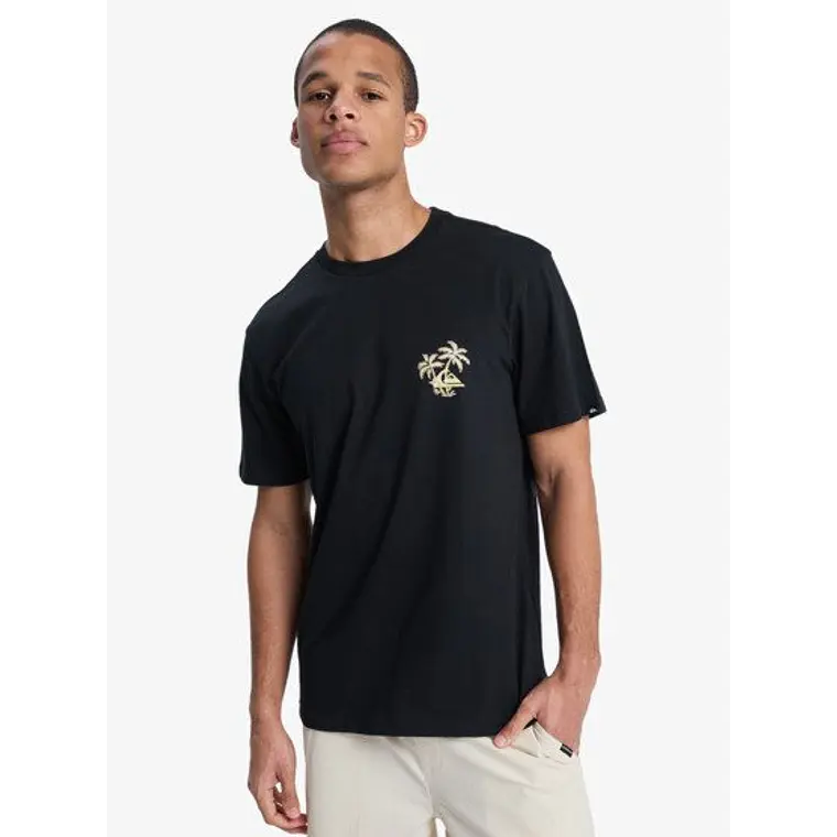T-Shirt Quiksilver Evo Learning Fr 2