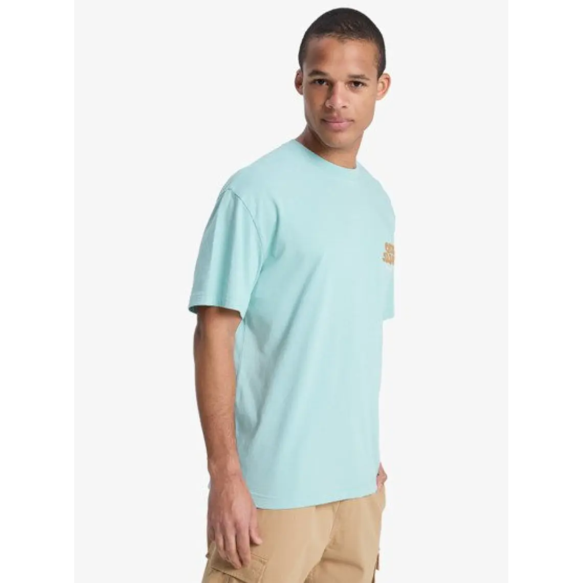 T-Shirt Quiksilver Fruits Tide 2