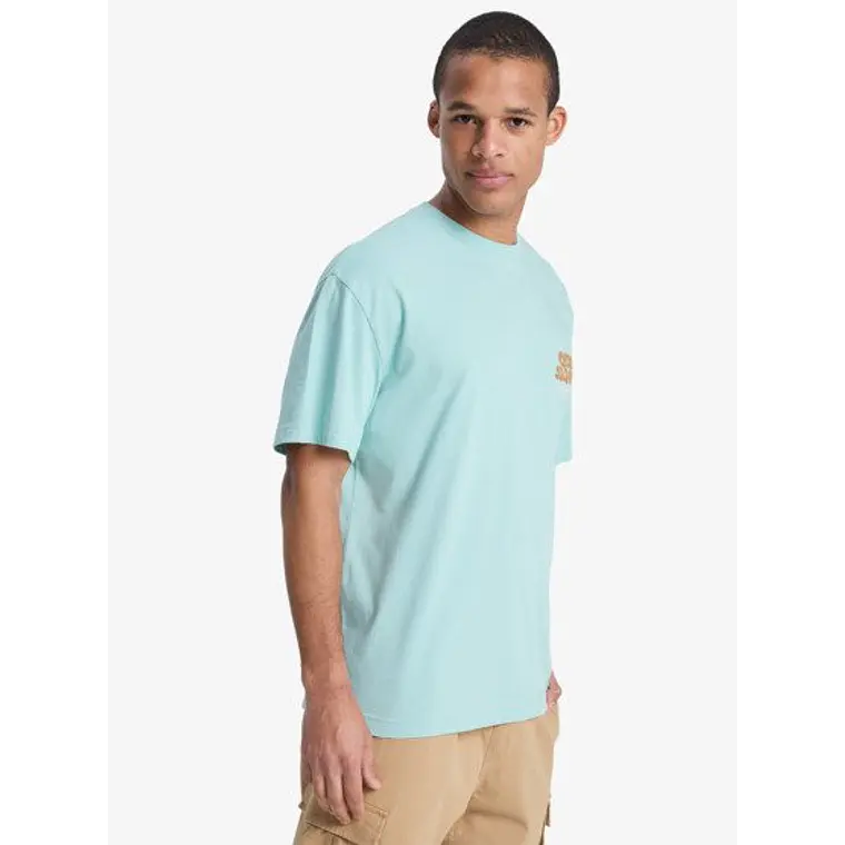T-Shirt Quiksilver Fruits Tide 2