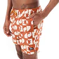 Boardshort Mens Picture Piau 15 Printed Brds - Thumbnail 1