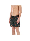 Boardshort Mens Picture Piau 15 Printed Brds