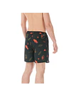 Boardshort Mens Picture Piau 15 Printed Brds