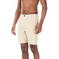 Boardshort Mens Picture Podar Hybrid 19 Brds - Thumbnail 1