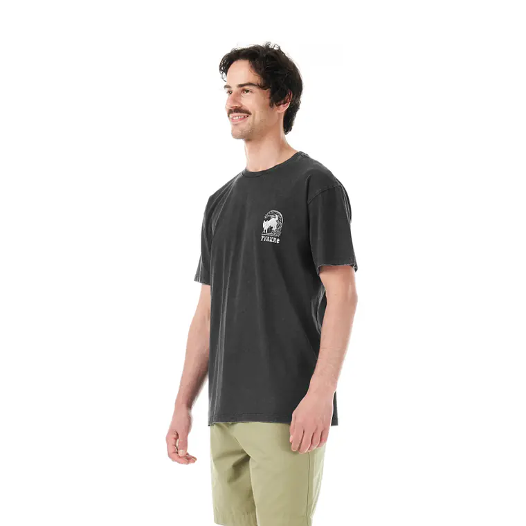 T-Shirt Mens Picture Picturide Tee 2