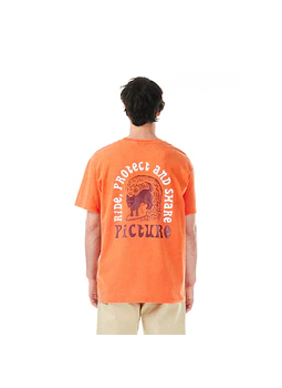 T-Shirt Mens Picture Picturide Tee