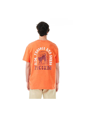 T-Shirt Mens Picture Picturide Tee