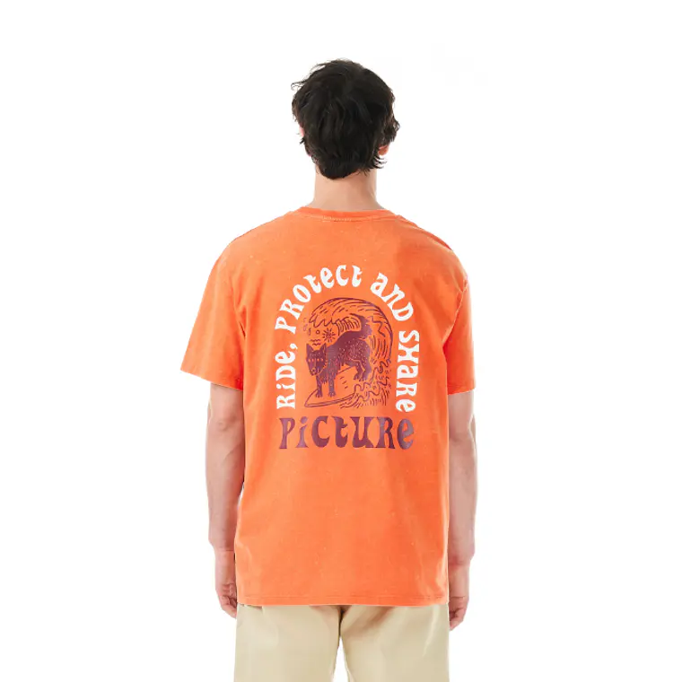 T-Shirt Mens Picture Picturide Tee 1