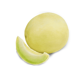 Melon