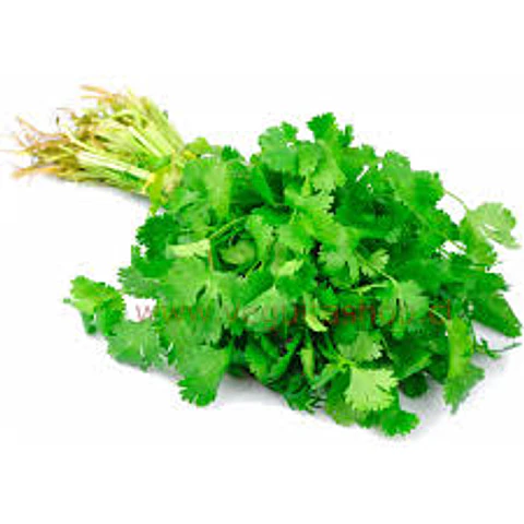 Cilantro 1 Paquete