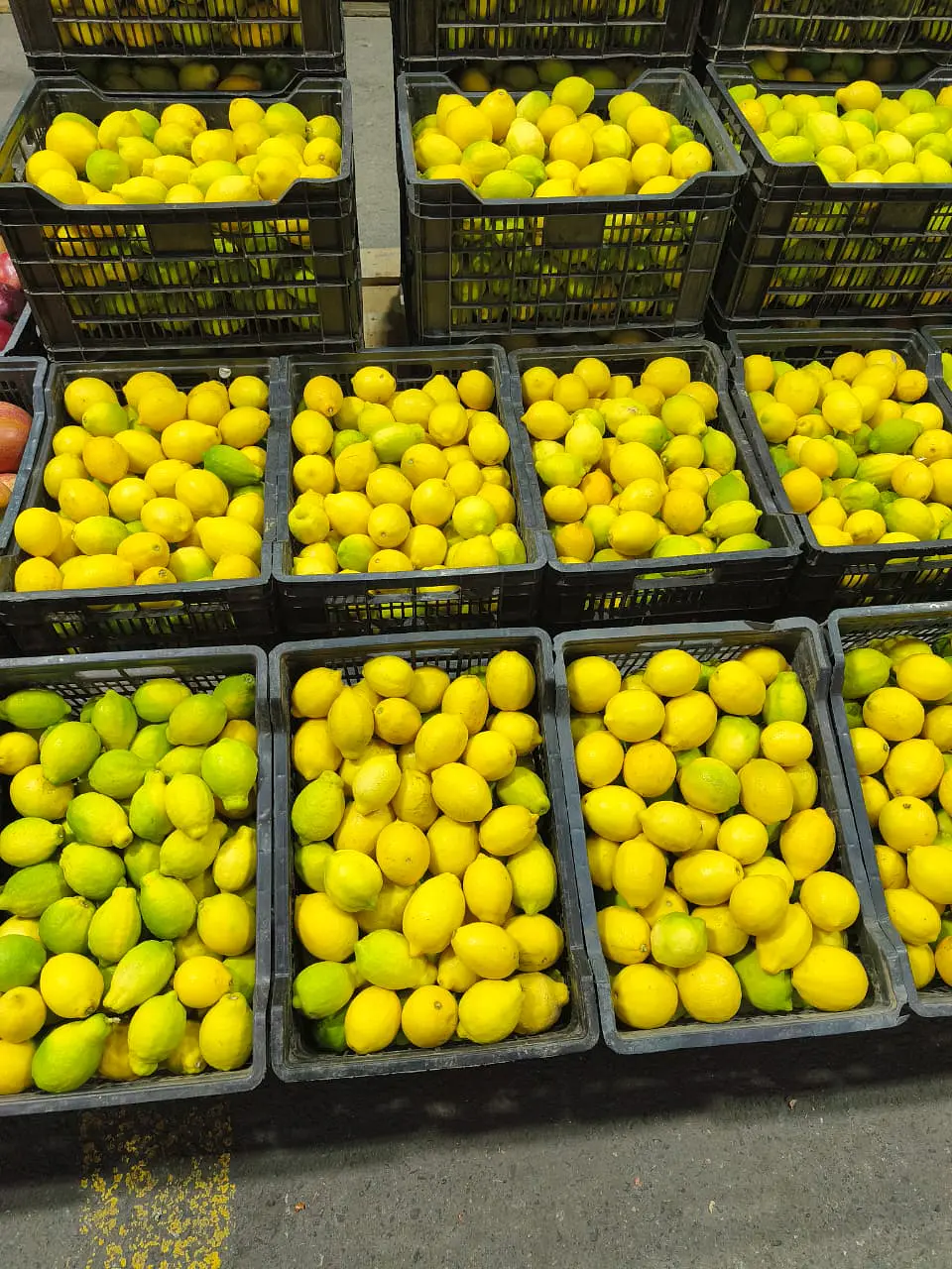 Caja de Limón ( 17 kilos ) 2