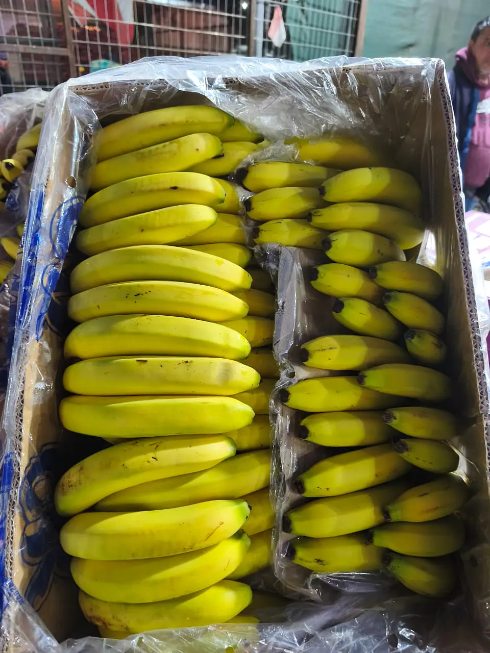 Caja de plátano ( 20 kilos ) 2